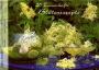 Buchcover: 20 Traumhafte Blütenrezepte